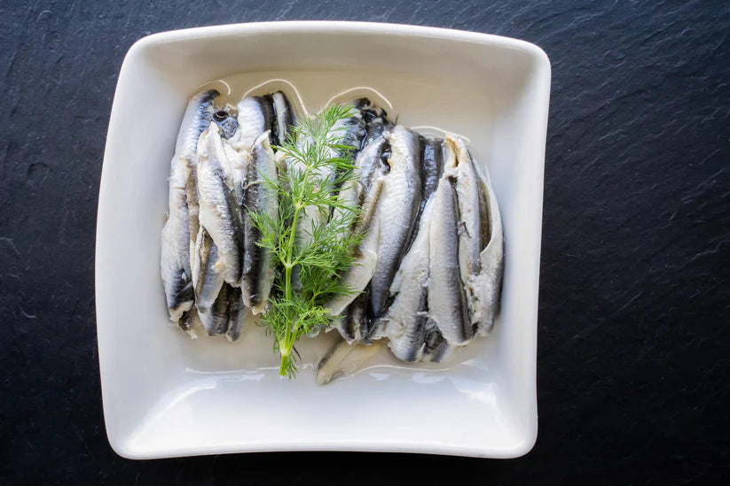 Anchovies in natural oil in a square white dish with a sprig of dill placed on top 