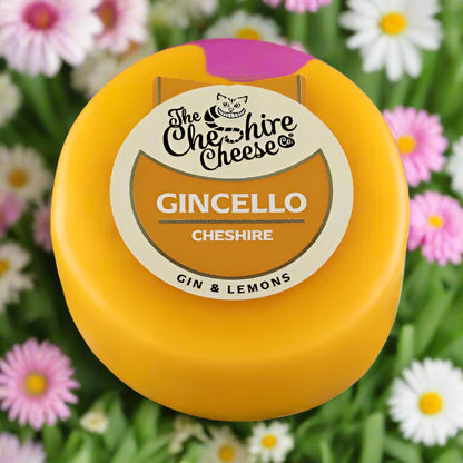 Gincello Cheese