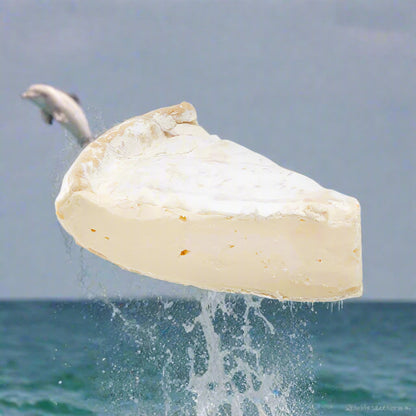 Connage Clava Brie 15% OFF